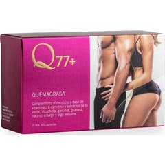 Q77+ Comprimés brûleurs de graisse 60caps