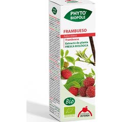 Intersa Phyto Bipôle Framboesa Bio 50ml