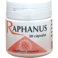 Codival Raphanus 30caps Codival Raphanus 30caps