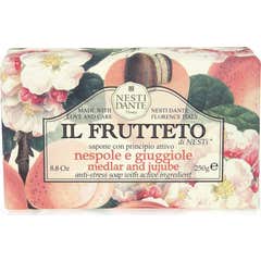 Nesti Dante Sav Il Frutrto Juj250G