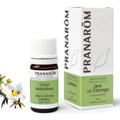 Pranarôm Huile Essentielle Ciste Ladanifère 5ml Pranarôm Huile Essentielle Ciste Ladanifère 5ml