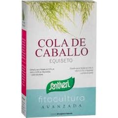 Les plantes de Santiveri s'adaptent aux casquettes.Cola Horse Les plantes de Santiveri s'adaptent aux casquettes.Cola Horse