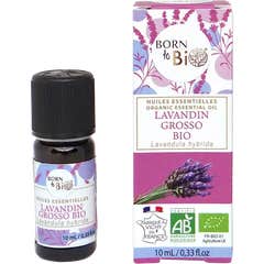 Born To Bio Huile Essentielle Lavandin Grosso Bio 10 ml