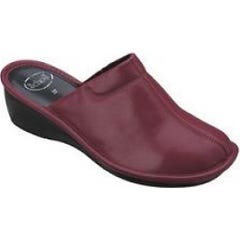 Plaisir P Ro 40