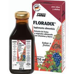 Salus Floradix Fer + Plantes 250ml