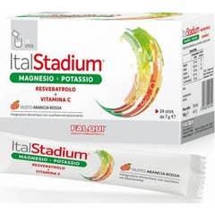 ItalStadium Magnésium Potassium Stick 24x7g