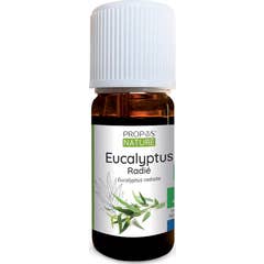 Propos'Nature Huile Essentielle d'Eucalyptus Radié Bio 10 ml