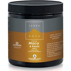 Super Shake Maca/Rei de Terre-Neuve