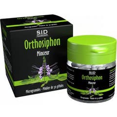 SID Nutrition Phytoclassics Orthosiphon 30 gélules