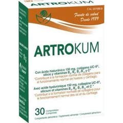 Bioserum Artrokum 30 Gélules Bioserum Artrokum 30 Gélules