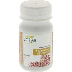Sotya Valeriana 440mg 60 perles