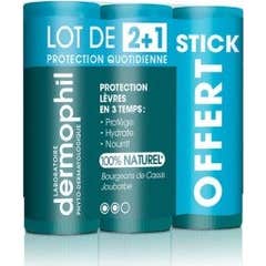 Dermophil Indien Stick Lèvres Quotidienne lot de 3x4g