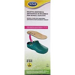 Clog Evo Anat Fourmis Ins Mic39-40