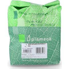 Plameca Menthe Pennyroyal 1000g