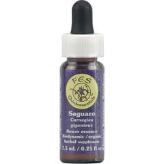 Flower Essence Services Saguaro Essence 7,5ml