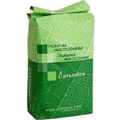 Graine de lin Plameca graine d'or entière 1 kg