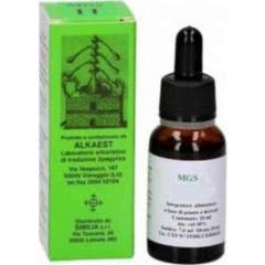 Alkaest Mgs20 Glycérine Macérée au Citron Vert 20ml