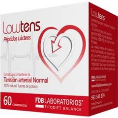 FDB Vitamine D3 4000Ui 60 Gélules