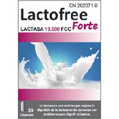 Bluecube Lactofree Forte 30 Gélules