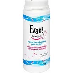 Evans Fungus en poudre 75g