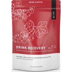 Vit2Go Drink Recovery Grosella Negra 250g