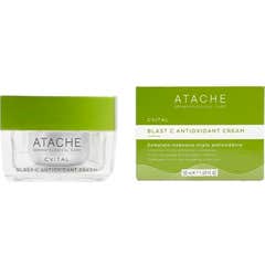 Crème Antioxydante Blast C 50 ml