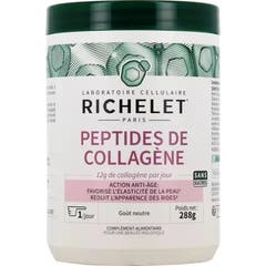 Richelet Peptides de Collagène 288g