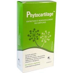 PhytoResearch Phytocartilage 60 Glules