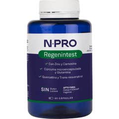 NPRO Regenintest 90 Capsules