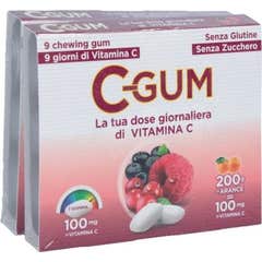 Dante C Gum Fruits Rouges 18uts