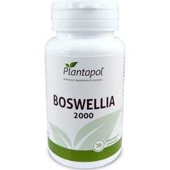 PlantaPol Boswellia 2000 30capsules