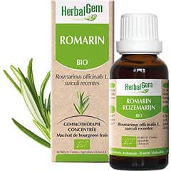 Herbalgem Romero Bio 50ml