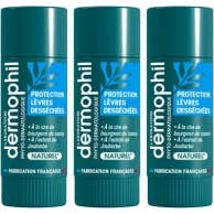 Dermophil Protection Lèvres Desséchées 3x4g