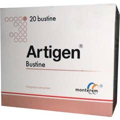 Artigen Fruits des Bois 20 Sachets
