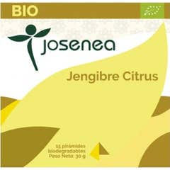 Josenea gingembre agrumes bio boîte 15 pyramides