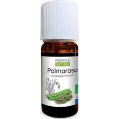 Propos'Nature Huile Essentielle de Palmarosa Bio 10 ml