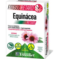 Ynsadiet Fitosol Retard Equinacea 30comp