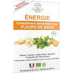 Elix&Co Energie 20 Amp 10ml