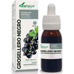 Extracto Grosellero Negro Xxi 50 Ml Sori *