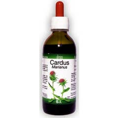 Direos Cardus Marianus 50ml