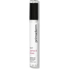 SingulaDerm Xpert Cils et Bruns 4ml