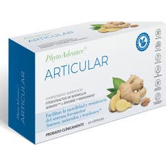 PhytoAdvance Inconfort Articulaire 60caps