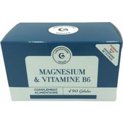 Giphar Magnésium Vitamine B6 90 Gélules