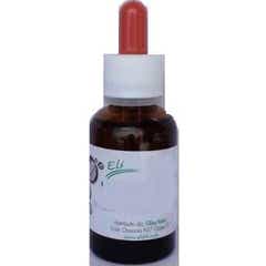 Glisly Italia di Bronco Mario Eli Kid Zinco 50g