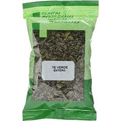 Plameca Plantas Medicinales Thé Vert 100g