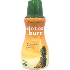 Completus Detox Burn Ananas 500ml