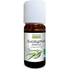 Propos'Nature Huile Essentielle d'Eucalyptus Globulus Bio 10 ml