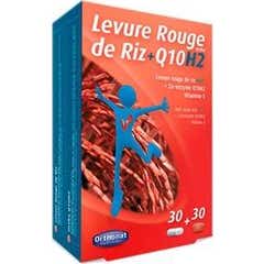 Orthonat Yeast Rice Red Rice Q10H2 2in1 Bio 60caps