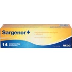 SARGENOR PLUS 14CPR