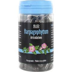 SID Nutrition Phytoclassics Harpagophytum 90 gélules